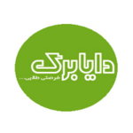 کد تخفیف از دایابرگ همراه با سورپرایز ویژه