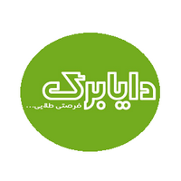 کد تخفیف برای از دایابرگ ۳۰% تخفیف قیمت ویژه