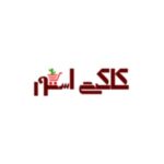 کد تخفیف محصولات منتخب کاکتی استور
