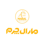 کد تخفیف کفش از فروشگاه مارال چرم